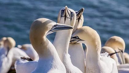 开云体育中国官网-国际米兰主场大胜，固若金汤