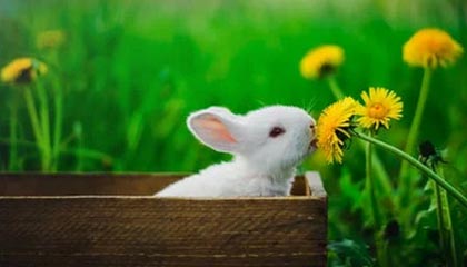 开云体育直播平台-中国青年篮球巡回赛再次成功落幕，助力青少年成长